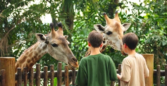 Zoológicos e Museus